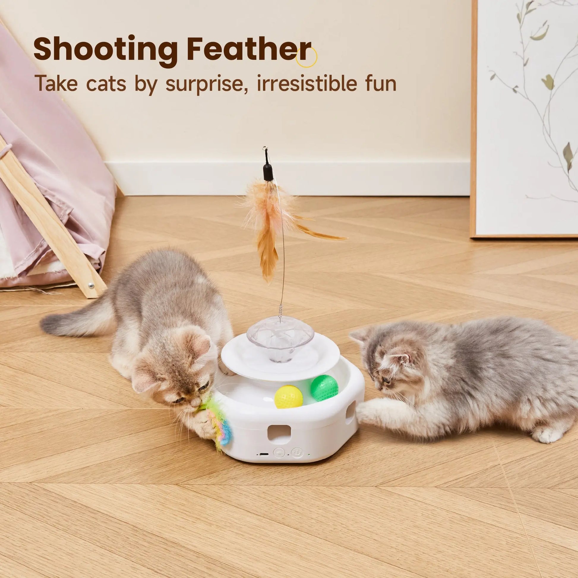 4-in-1 Interactive Cat Laser Toys - Printsforpet