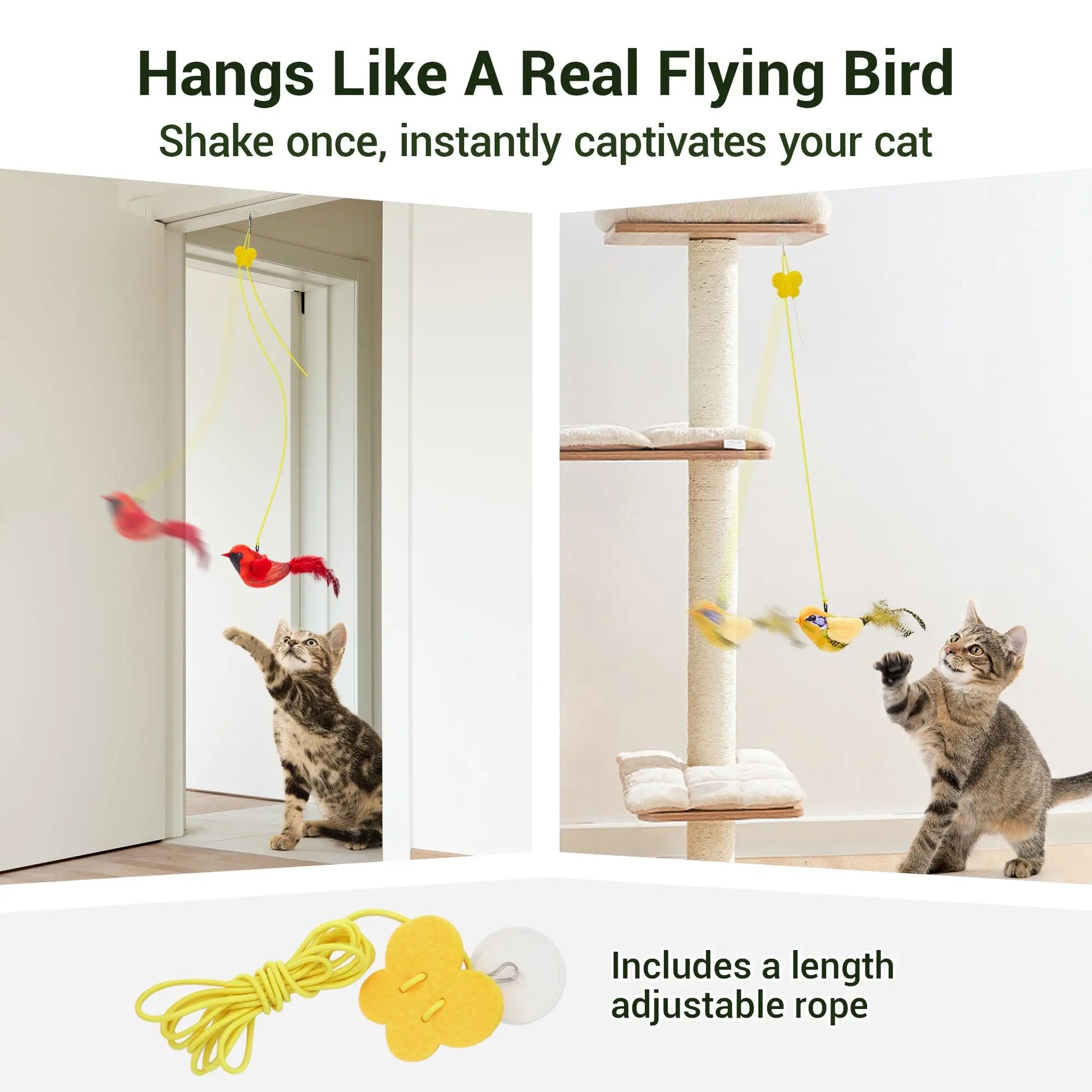 Chirping Birds Cat Toys 2 Pcs: Northern Cardinal & Silver-throated Tanager - Printsforpet