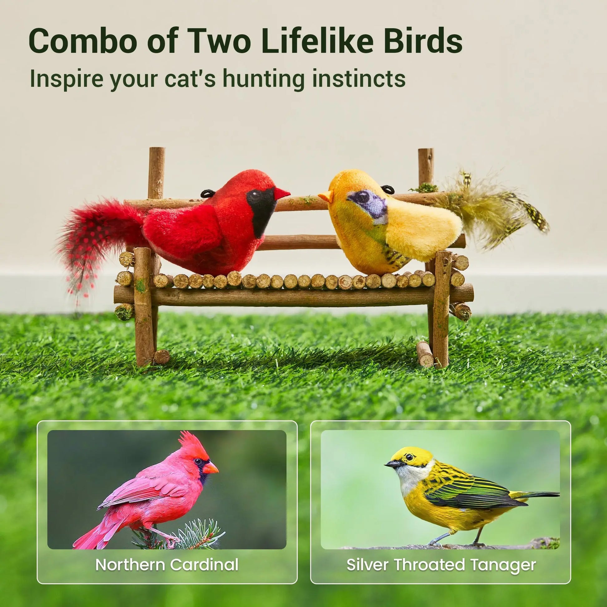 Chirping Birds Cat Toys 2 Pcs: Northern Cardinal & Silver-throated Tanager - Printsforpet