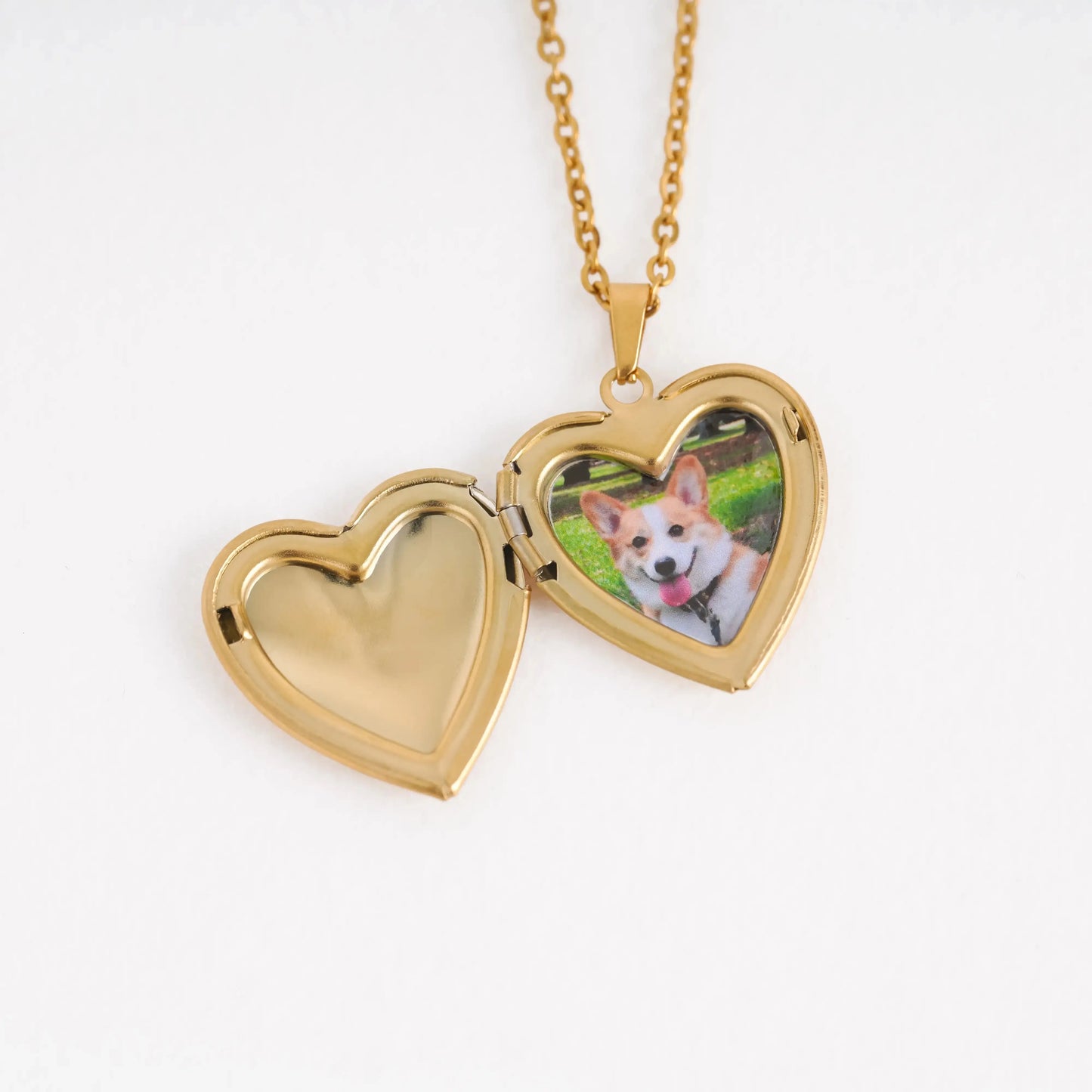 Printsforpet Custom Pet Portrait Locket Heart Necklace Printsforpet