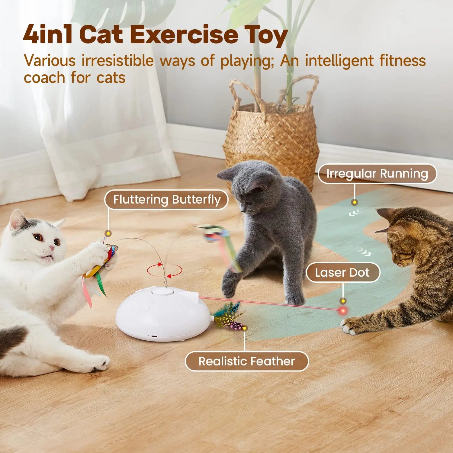 Cat Laser Toys Interactive, 4in1 Rechargeable Kitten Toy - Printsforpet