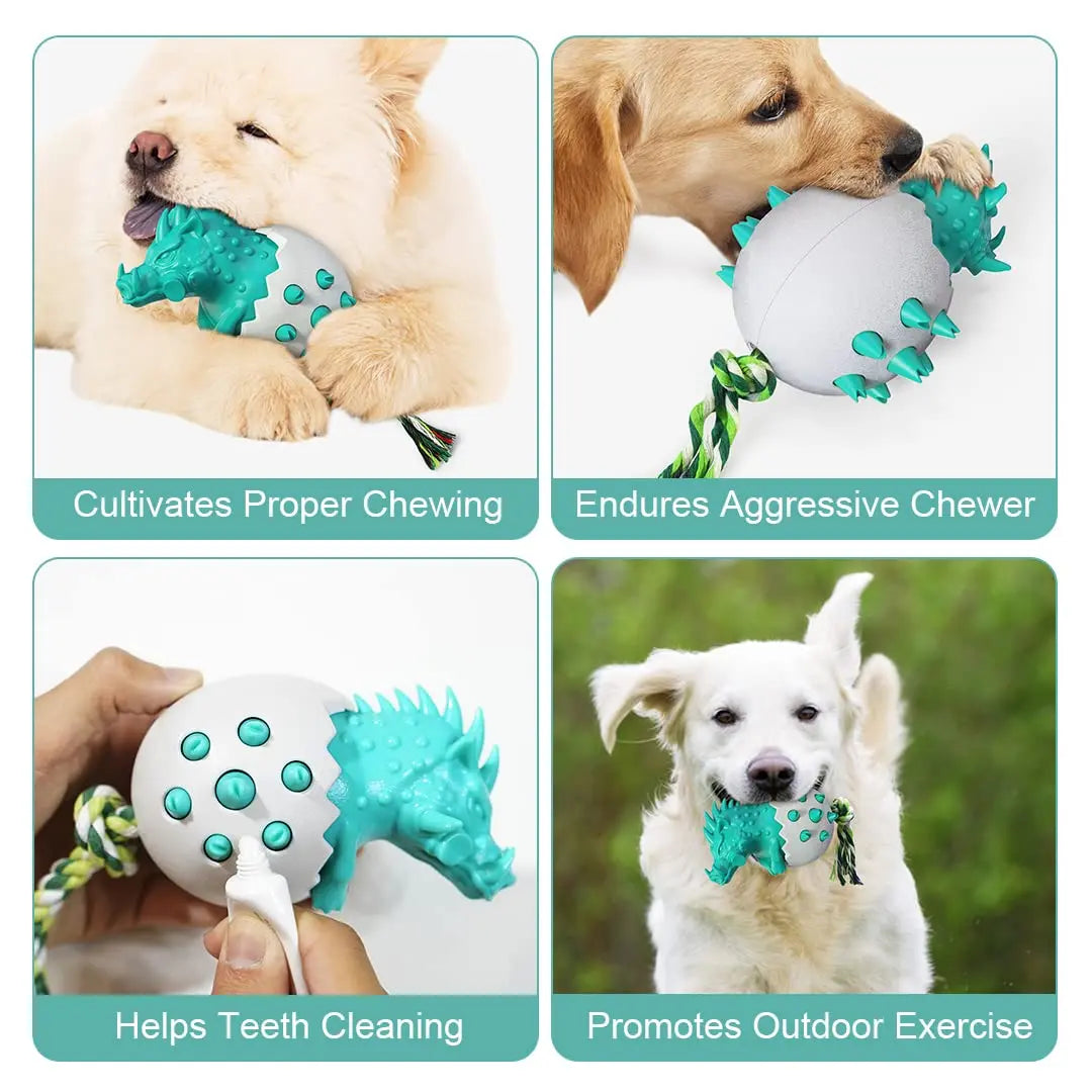 Dog Chew Toy for Aggressive Chewers (Boar Shaped) - Printsforpet