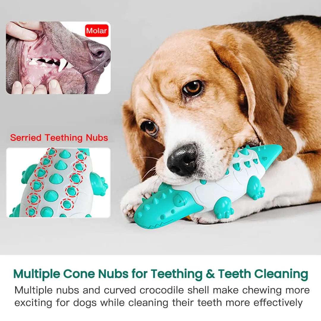 Dog Chew Toys, Crocodile-shaped - Printsforpet