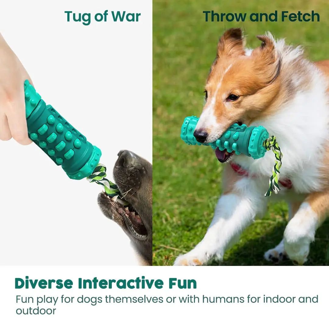 Dog Squeaky Chew Toy for Aggressive Chewers - Printsforpet