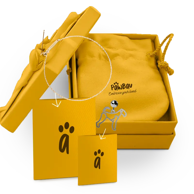 Premium Gift Box Printsforpet