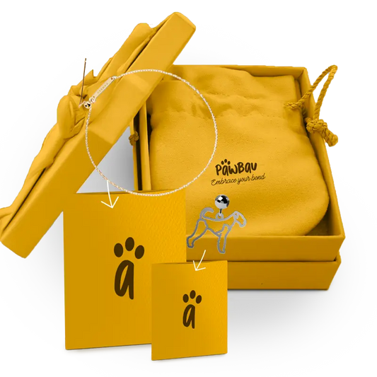 Premium Gift Box Printsforpet